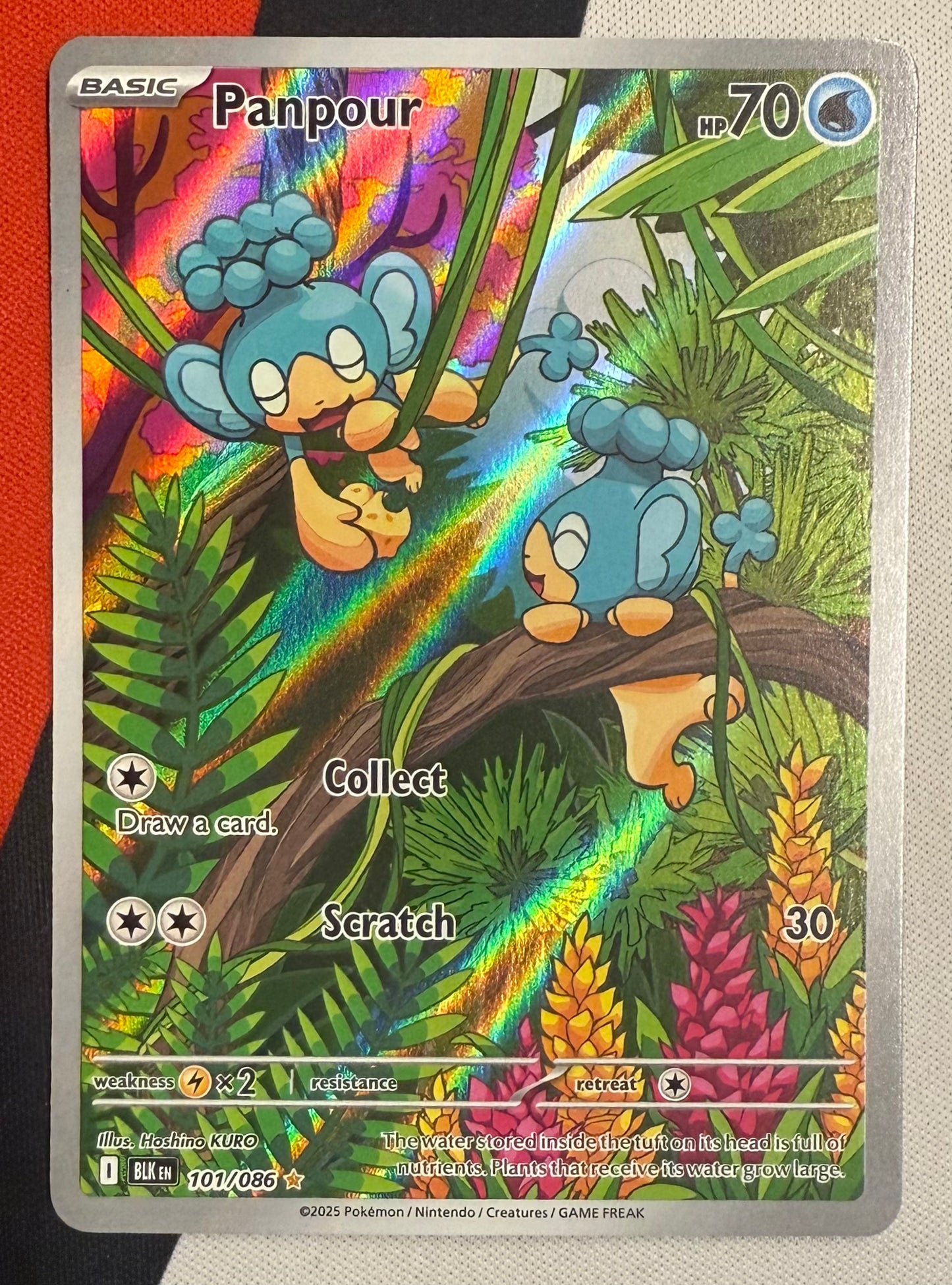 Panpour #101 – Black Bolt (Illustration Rare)