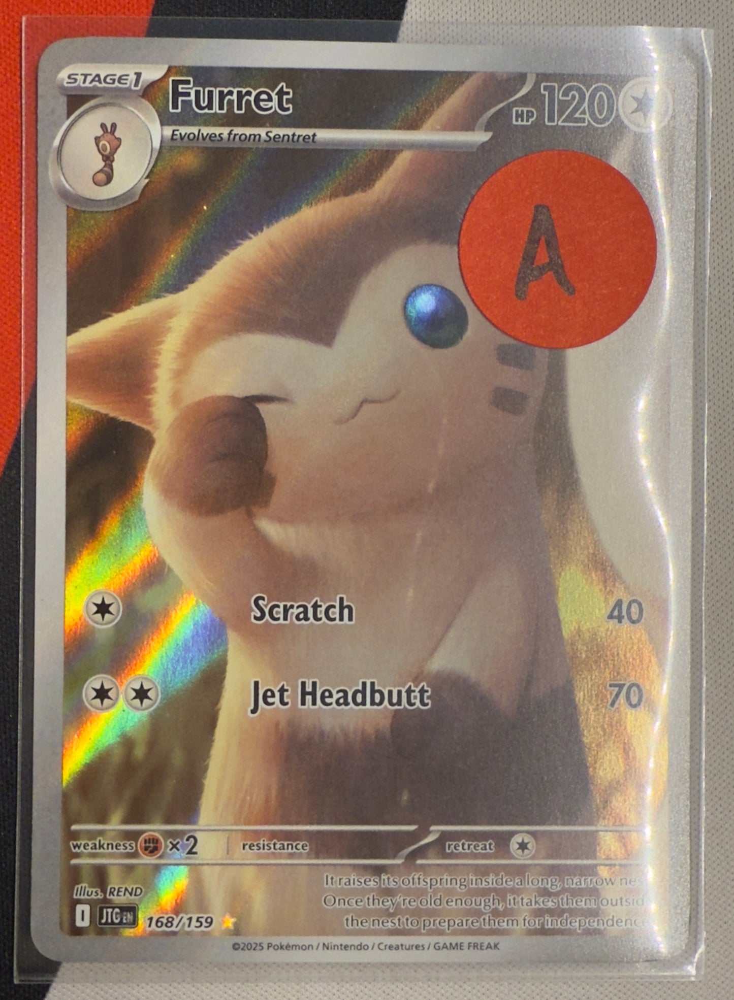 Furret #168 – Journey Together (Illustration Rare) A