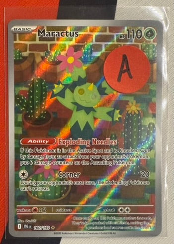 Maractus #160 – Journey Together (Illustration Rare) A