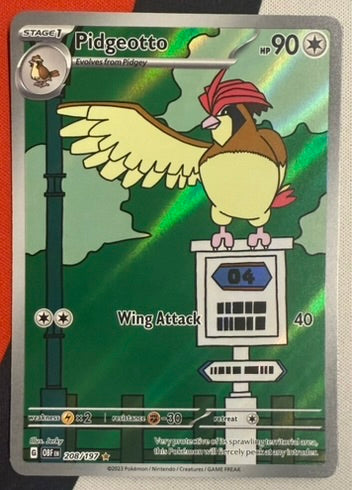 Pidgeotto #208 – Obsidian Flames (Illustration Rare) C