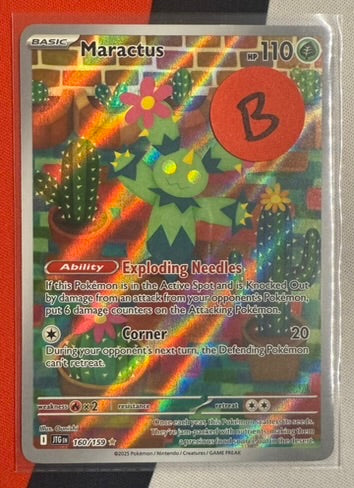 Maractus #160 – Journey Together (Illustration Rare) B